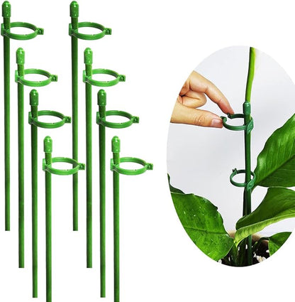 VitaStem™ — Unshakable Plant Support That Fuels Fierce, Flourishing Growth Every Season