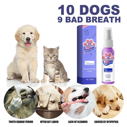 BrisaPet™ — Instantly Freshen Breath for Snuggles That Melt Your Heart