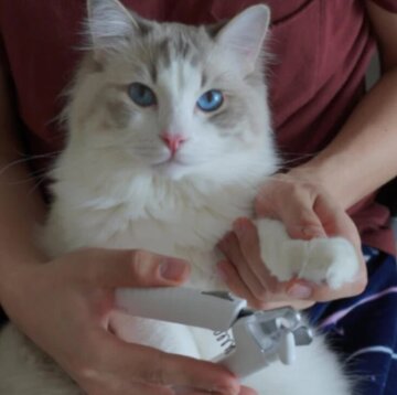PawLuma™ — Nail Trimming Made Fearless and Stress-Free for Happy, Calm Pets