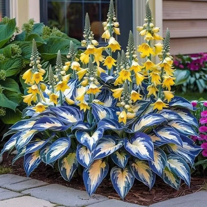 ShadeFlair™ — Turn Dark, Neglected Corners into Lush, Vibrant Garden Sanctuaries