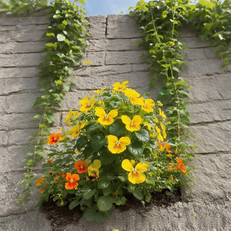 FaeMorph™ Butterfly Bloom Seeds — Create a Magical Garden That Leaves Everyone Breathless