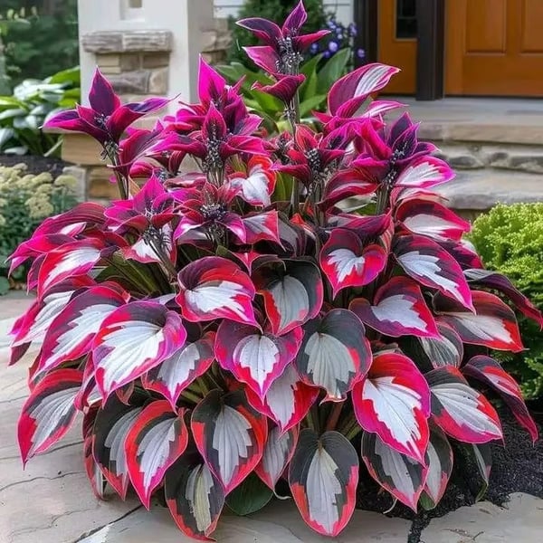 ShadeFlair™ — Turn Dark, Neglected Corners into Lush, Vibrant Garden Sanctuaries
