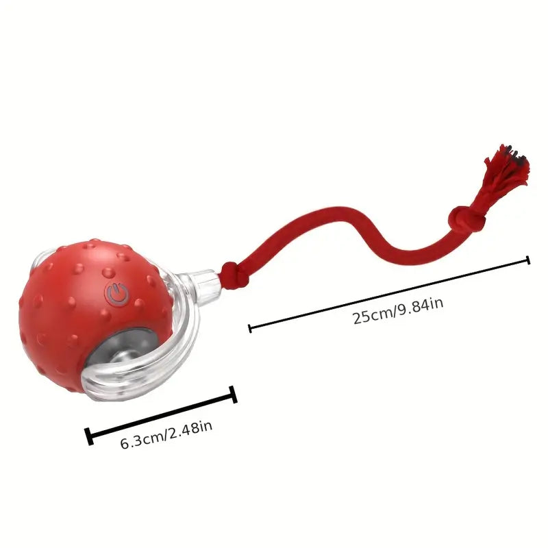 ZoomTail™ — Unleash Your Dog’s Ultimate Energy and Fun Instincts