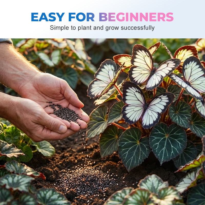 FaeMorph™ Butterfly Bloom Seeds — Create a Magical Garden That Leaves Everyone Breathless
