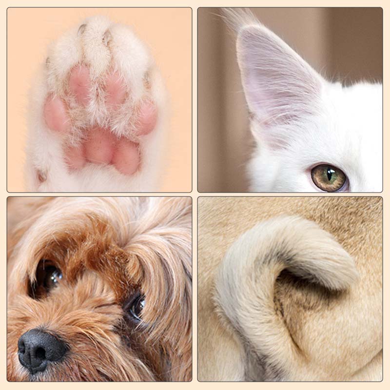 TrimNest™ — Enjoy Calm, Fast Grooming That Turns Stress Into Snuggles