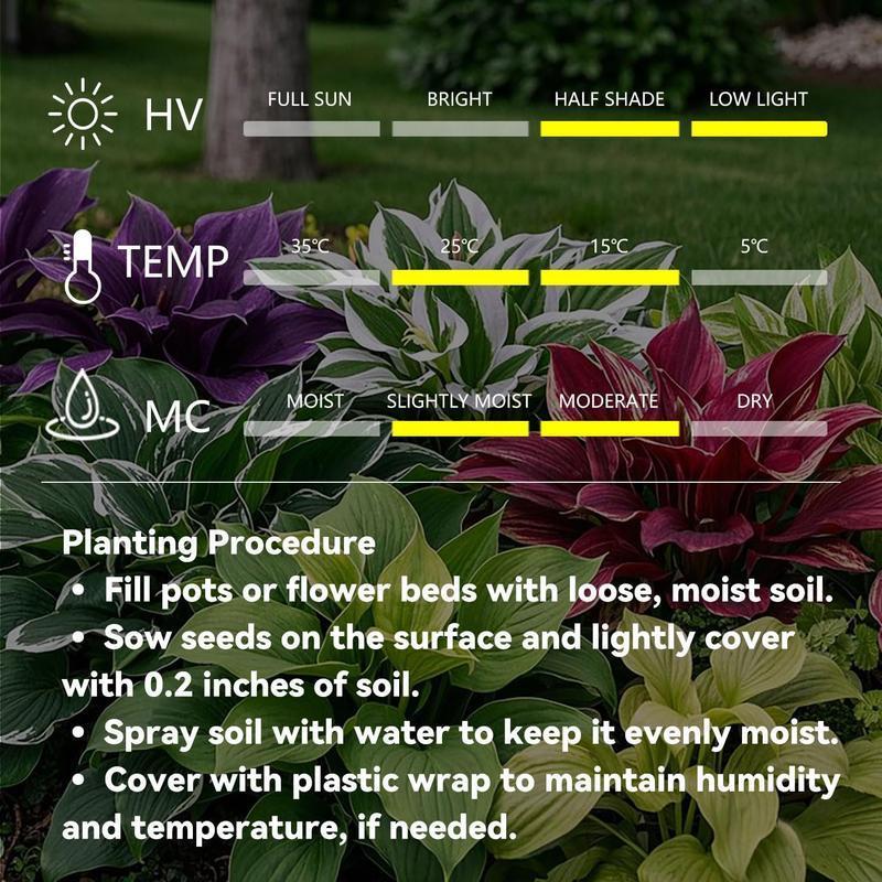 ShadeFlair™ — Turn Dark, Neglected Corners into Lush, Vibrant Garden Sanctuaries