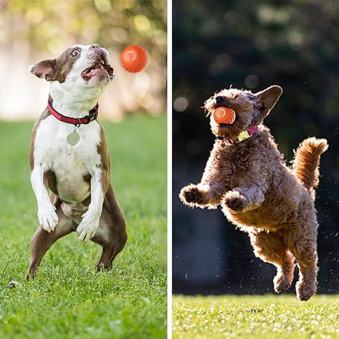 TurboBark™ — Ignite Your Dog’s Pure Joy with Endless, Hands-Free Chase Fun