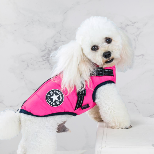 VentiPaw™ Weather Jacket — Wrap Your Pup in Cozy Warmth and Instant Control, Rain or Shine