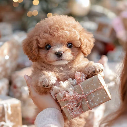 PuppiSoul™ — Bring Home Heartfelt Puppy Love Without the Hassle