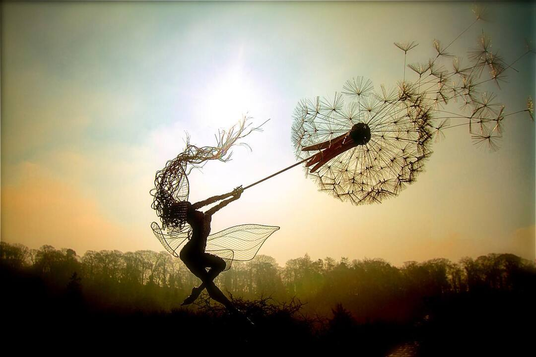 EnchantaBloom™ — Transform Your Garden into a Magical Sanctuary of Calm and Wonder
