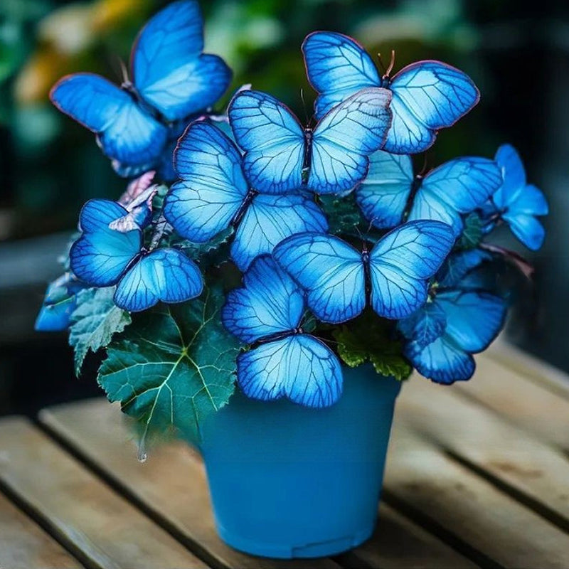 FaeMorph™ Butterfly Bloom Seeds — Create a Magical Garden That Leaves Everyone Breathless