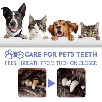 BrisaPet™ — Instantly Freshen Breath for Snuggles That Melt Your Heart