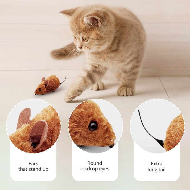ShadowDash™ — Unleash Your Cat’s Wild Energy and Endless Playtime Joy