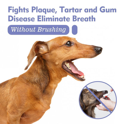 BrisaPet™ — Instantly Freshen Breath for Snuggles That Melt Your Heart
