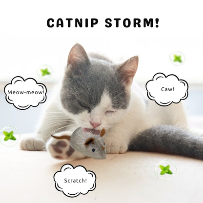 ShadowDash™ — Unleash Your Cat’s Wild Energy and Endless Playtime Joy