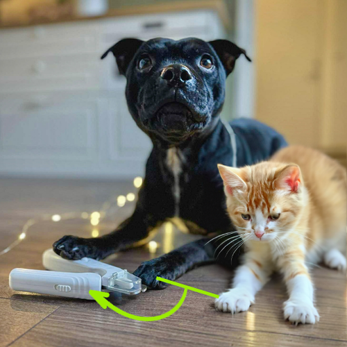 PawLuma™ — Nail Trimming Made Fearless and Stress-Free for Happy, Calm Pets