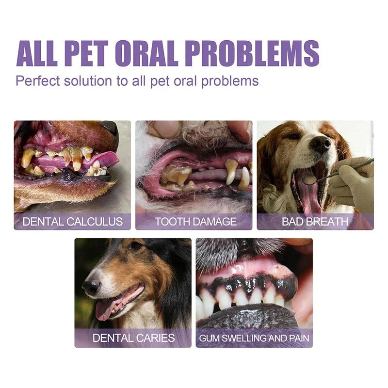 VitalPaw™ — Transform Your Pet’s Smile into Freshness and Comfort Every Day