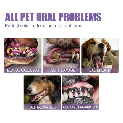 VitalPaw™ — Transform Your Pet’s Smile into Freshness and Comfort Every Day