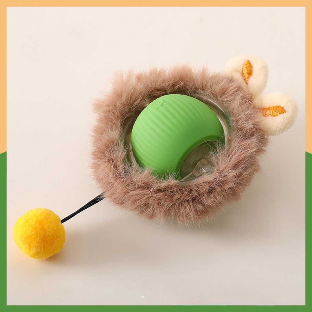 ZoomTail™ — Unleash Your Dog’s Ultimate Energy and Fun Instincts