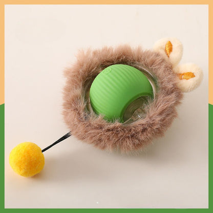 ZoomTail™ — Unleash Your Dog’s Ultimate Energy and Fun Instincts