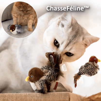 ViviProwl™ — Ignite Your Cat’s Wild Hunt and Endless Joy