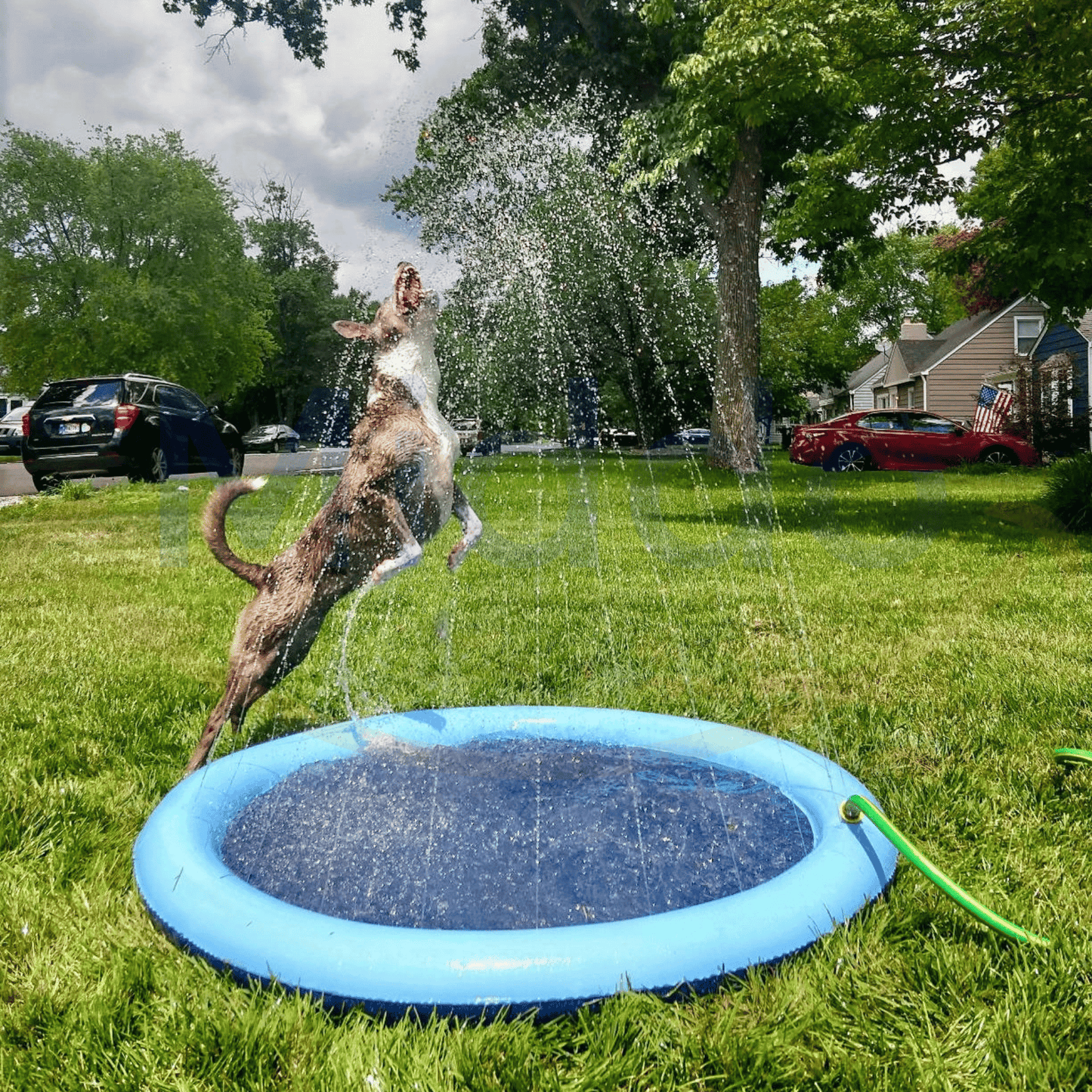 AquaLuxe™ — Turn Any Backyard Into a Splashing Haven of Joy and Carefree Fun