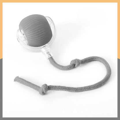 ZoomTail™ — Unleash Your Dog’s Ultimate Energy and Fun Instincts