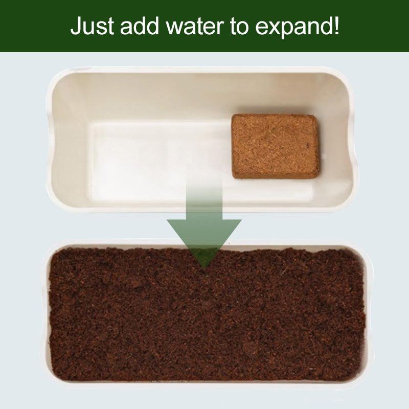RootGlow™ — Ignite Explosive Growth with Perfectly Moist, Oxygen-Rich Roots Every Time