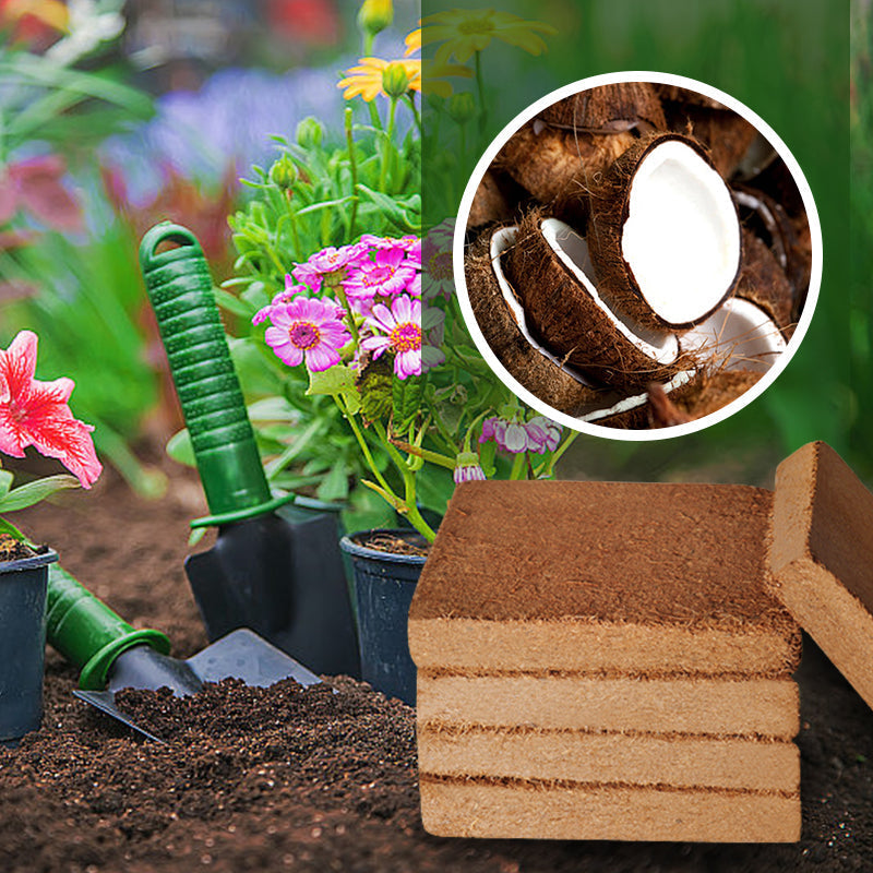 RootGlow™ — Ignite Explosive Growth with Perfectly Moist, Oxygen-Rich Roots Every Time