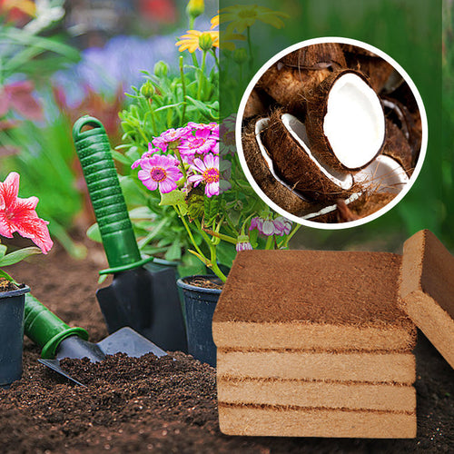 RootGlow™ — Ignite Explosive Growth with Perfectly Moist, Oxygen-Rich Roots Every Time