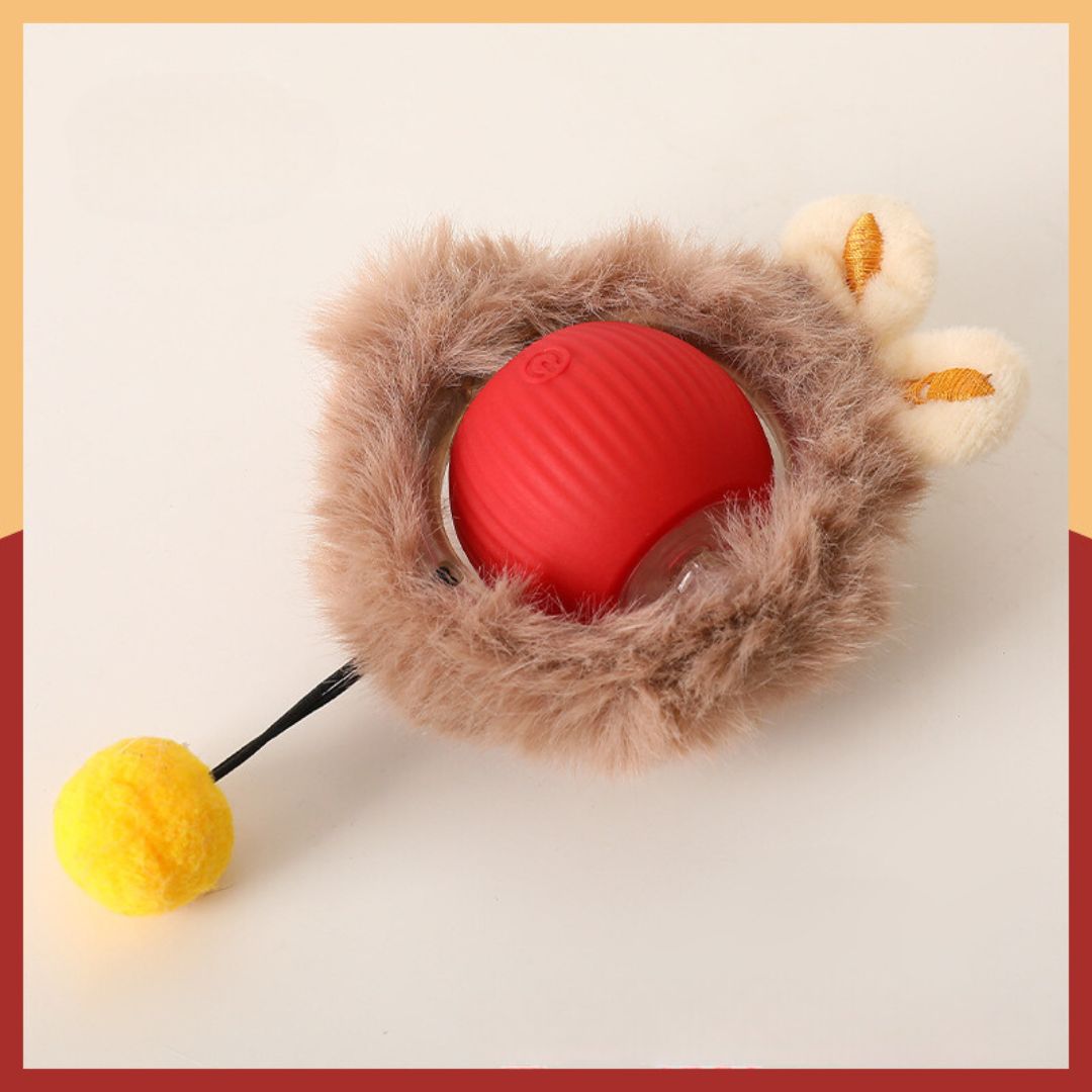 ZoomTail™ — Unleash Your Dog’s Ultimate Energy and Fun Instincts