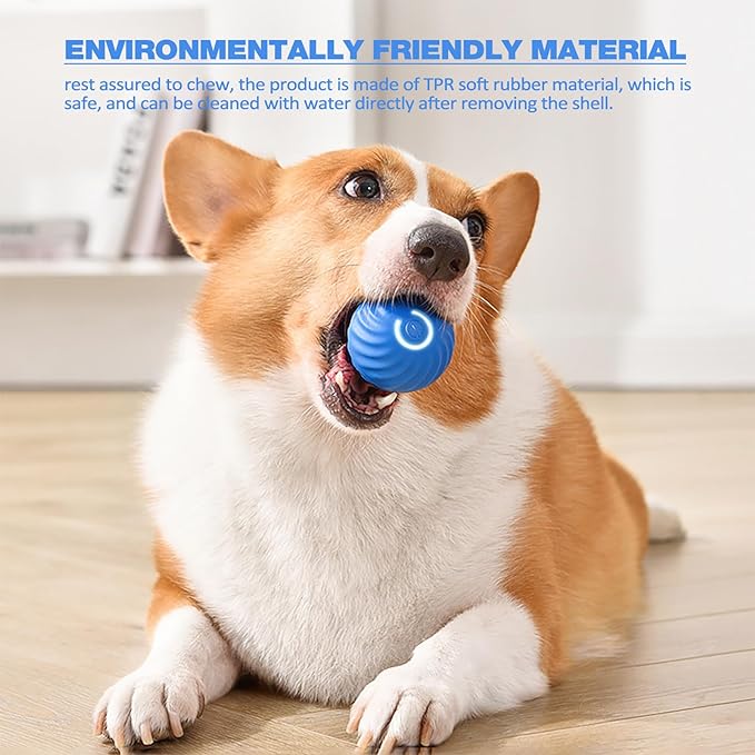 TurboBark™ — Ignite Your Dog’s Pure Joy with Endless, Hands-Free Chase Fun