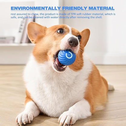 TurboBark™ — Ignite Your Dog’s Pure Joy with Endless, Hands-Free Chase Fun
