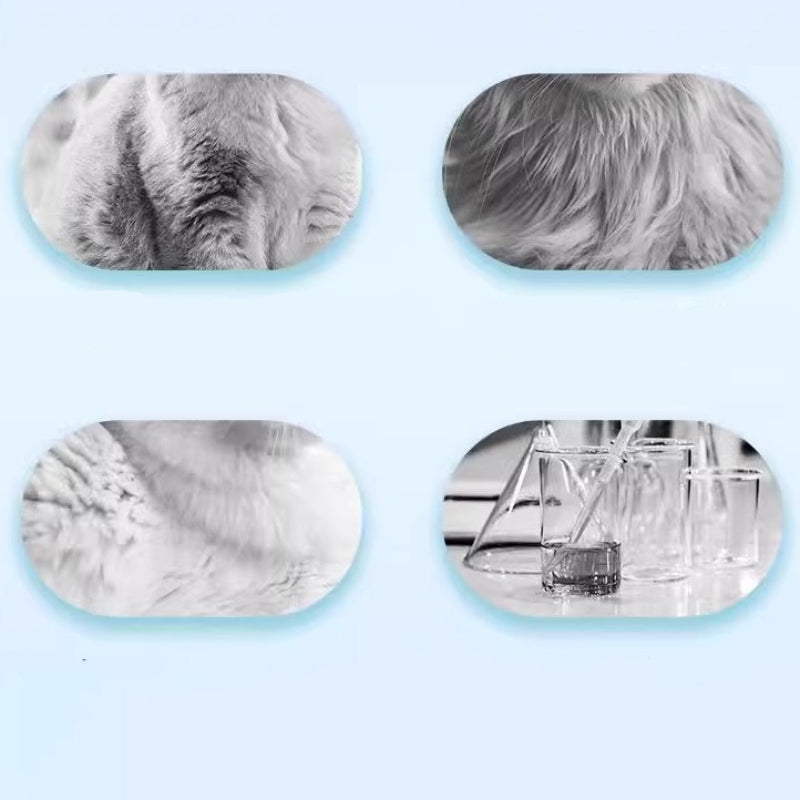 ViviPaw™ Rinse-Free Cleansing Foam — Turn Bath Time Battles into Instant, Stress-Free Freshness