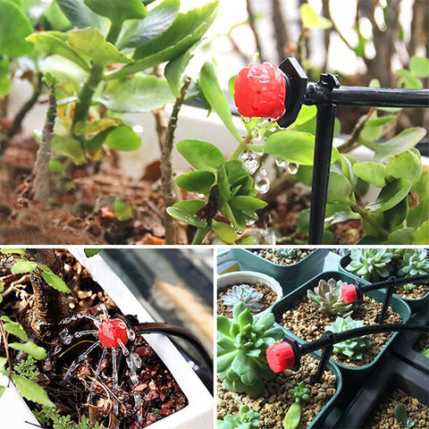 AquaPulse™ — Unlock Effortless, Jaw-Dropping Garden Growth with Perfect Hydration Every Time