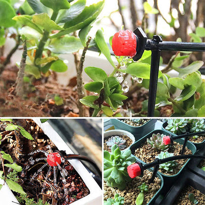 AquaPulse™ — Unlock Effortless, Jaw-Dropping Garden Growth with Perfect Hydration Every Time