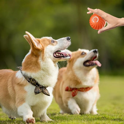 TurboBark™ — Ignite Your Dog’s Pure Joy with Endless, Hands-Free Chase Fun