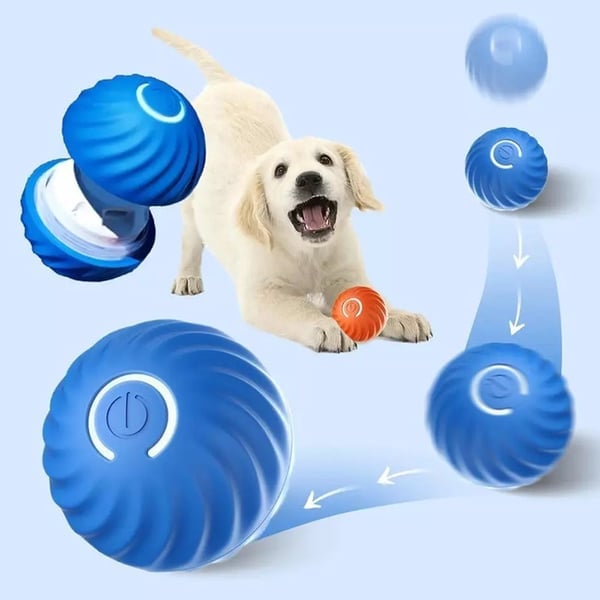 TurboBark™ — Ignite Your Dog’s Pure Joy with Endless, Hands-Free Chase Fun